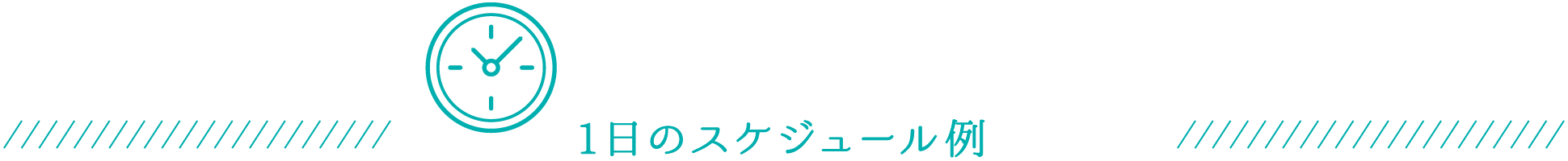 1日のスケジュール